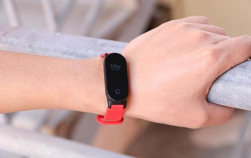 娱乐吃瓜戴手环,揭秘明星幕后生活